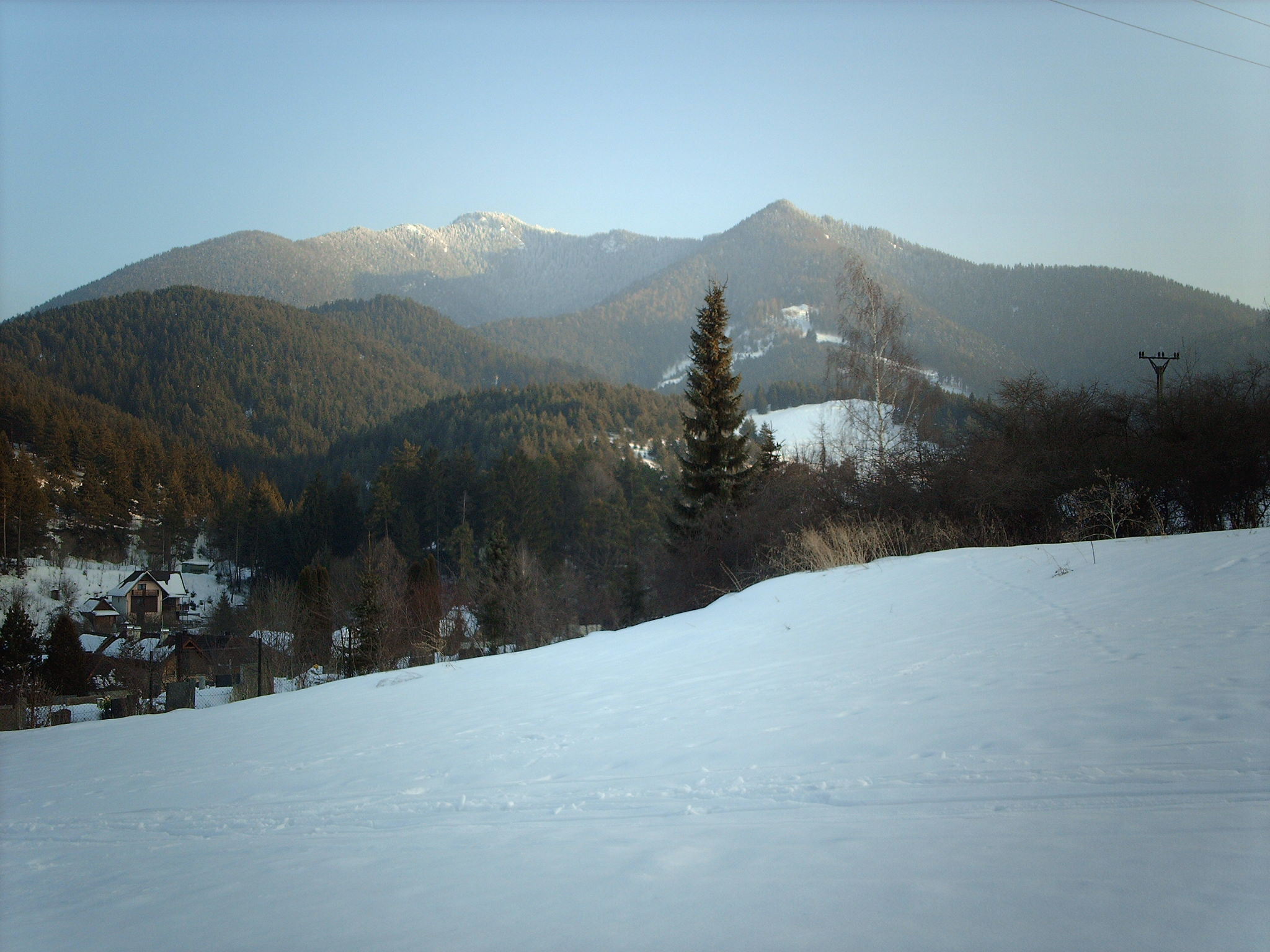 imag0368 (1)